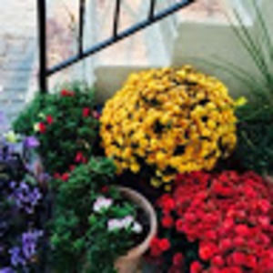 Meet your Posher, Candace